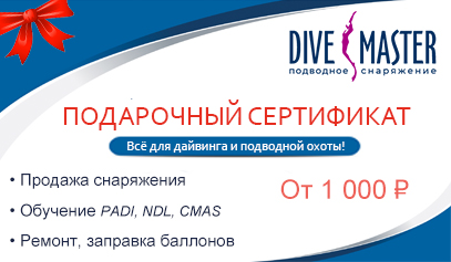 Подарочный сертификат